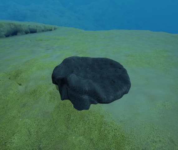 black sponge